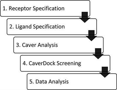 Fast Screening of Inhibitor Binding/Unbinding Using Novel Software Tool CaverDock